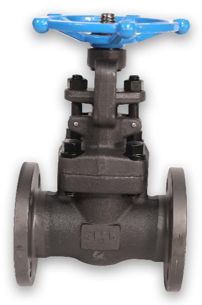 300# SMP Forged Steel Flanged Gate Valve