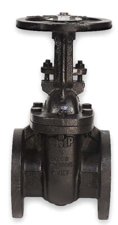 SMP 125# IBBM Cast Iron Flanged OS&Y Gate Valve