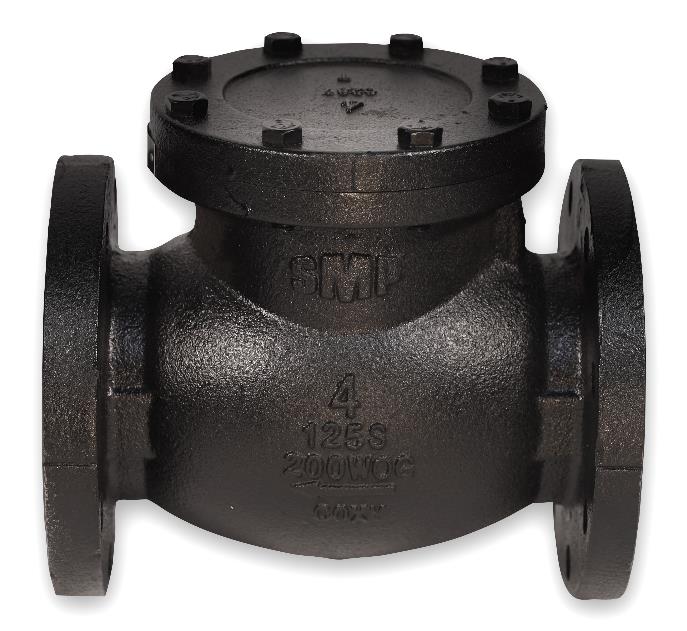 SMP 125# IBBM Cast Iron Flg Swing Check Valve