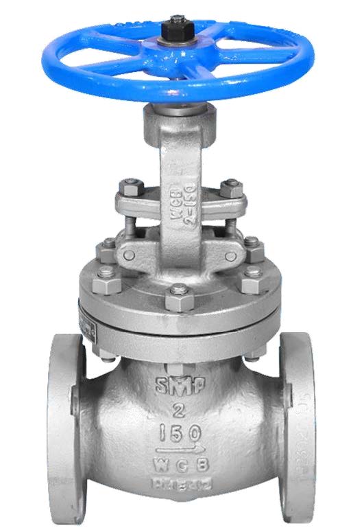 SMP 150# CS Flanged Globe Valve