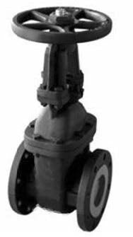 SMP 250# IBBM Cast Iron Flg OS&Y Gate Valve