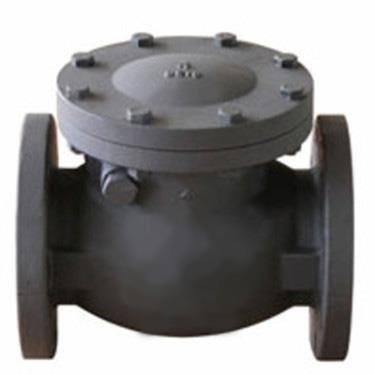 SMP 250# IBBM Cast Iron Flanged Swing Check Valve