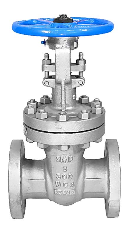 SMP 300# CS Flanged OS&Y Gate Valve