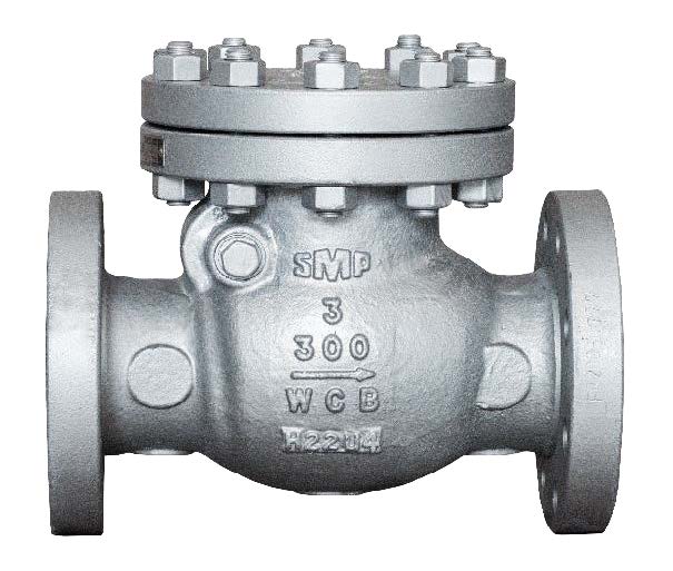 SMP 300# CS Flanged Swing Check Valve